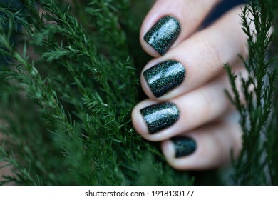 Woman's neat fingers with short natural nails painted with sparkling dark green nail polish. Winter colours, cypress leaves, natural and elegant look.