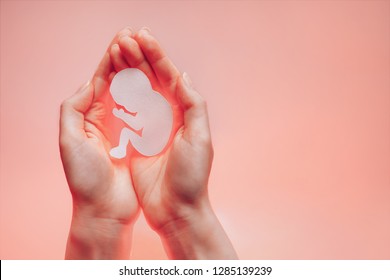 Womans palms pressed together and keep paper embryo. Light coral background with copy space. Hands on the left side. Soft focus.