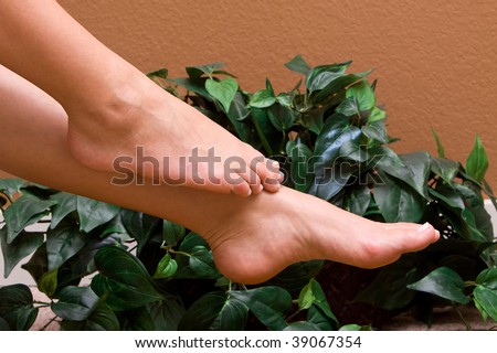 Woman's pedicured feet in front of ivy plant