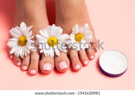 Woman's perfect, groomed feet with of natural herbal cream. Love a feet. Beautiful flowers on pink background. Care about clean, soft and smooth skin on foot. Fresh flowers.
