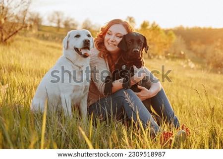Woman's pure joy while engaging in play with her dogs at sunset. Cherished moments Woman and her labrador relishing the outdoors at sunset