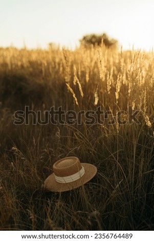 a woman's straw hat with a white stripe lies on the grass. straw hat in a field at sunset