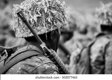 Women In The Army, Ukrainian Soldiers  ,  Portrait Of American Soldier Looking Away