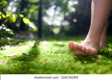   Women Bare Feet Walking On Moss With Sunlight