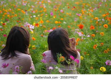 Women Brow Soap Bubbles At Cosmos Field