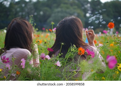 Women Brow Soap Bubbles At Cosmos Field