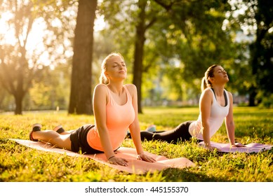 Women Doing Yoga Outdoors In The Park.