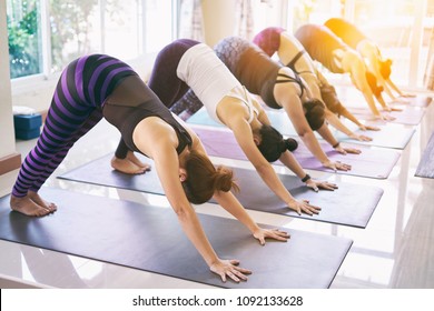 Women exercising in fitness studio yoga classes