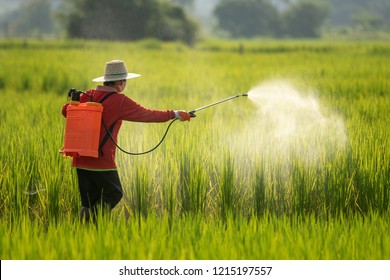 9,686 Pesticides spraying crops Images, Stock Photos & Vectors ...