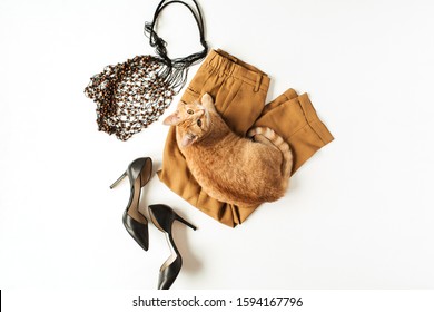 Women Fashion Clothes, Accessories, Cute Beautiful Ginger Kitten On White Background. Flat Lay, Top View Minimal Trendy Collage. Pants, High-heel Shoes, String Bag. Fashion Blog, Magazine Concept.