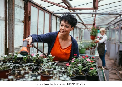 women gardener working in her greenhouse - Powered by Shutterstock