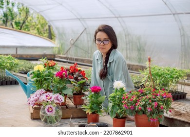 Women Gardeners Take Care Of Plants In Pots On The Table. Home Garden And Gardening Concept. Spring Time. Take Care Of House Plants. Sample.