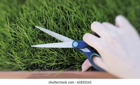 Women Hand Cutting The Grass With A Pair Of Scissors