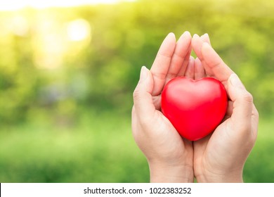 Women hand hold a red heart with love on nature bokeh in the public park, Health insurance and Valentine day concept. - Shutterstock ID 1022383252
