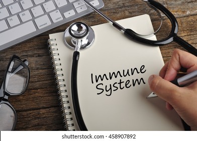 Women Hand Write "IMMUNE SYSTEM" On Note Book
