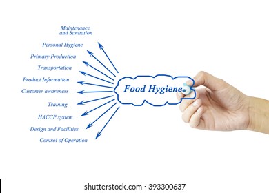 Women Hand Writing Element Of Food Hygiene Principle Concept For Use In Manufacturing(Training And Presentation) 