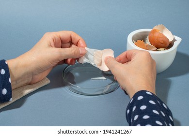 Women Hands Remowing Eggshell Membrane. Zero Waste Cosmetics. DIY Collagen From Eggshell Membranes. Close Up.