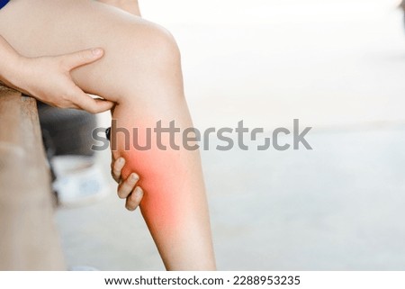 Women have leg or calf pain. Concept of health problems.