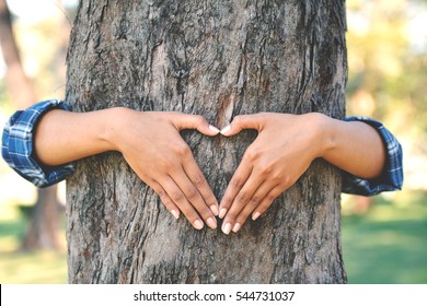 Women Hug Big Tree Color Of Hipster Tone Selective Soft Focus, Concept Nature And People