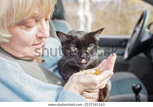 Women with kids driving by car
together with their pet. Family adventure and travel. Rules of
border crossing with animals. Concept about love and care for
animals