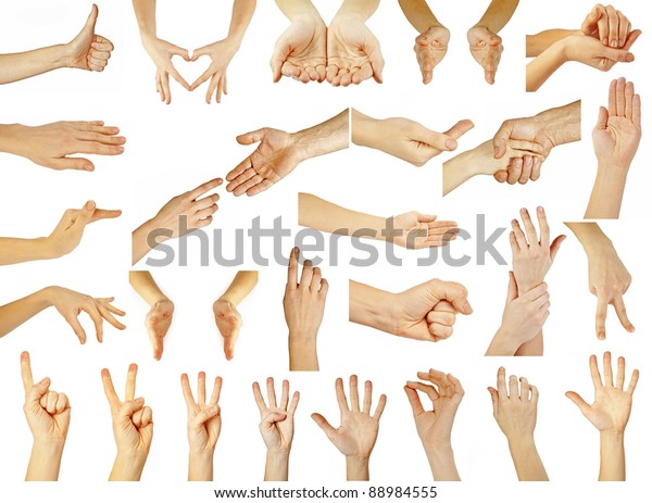 Women Man Hand On White Backgrounds Stock Photo 88984555 | Shutterstock