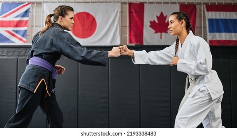 Women, Martial Arts And Karate At A Dojo For Workout, Exercise Or Health Or Aikido And Fitness. Taekwondo, Fighting And Sports Training People At The Gym For A Fight Or International Competition.