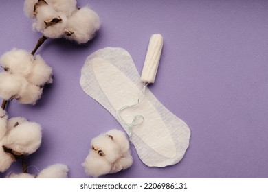 Women Menstrual Cycle Concept. Sanitary Pad And Tampon Isolated On Purple Background. Top View.