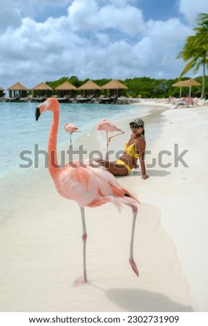 women on the beach with pink flamingos at Aruba, flamingo at the beach in Aruba Island Caribbean.