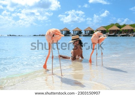 women on the beach with pink flamingos at Aruba, flamingo at the beach in Aruba Island Caribbean.