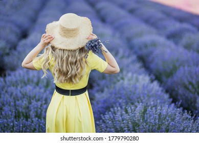 women on lavander field in yellow dress, stay back with hat, blond long hair  - Powered by Shutterstock