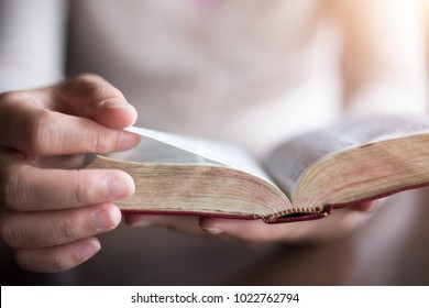 Women Reading The Holy Bible.,Reading Abook.