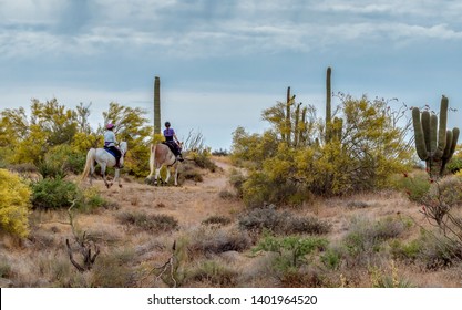 Women Riding Horses On A Desert Trail In Arizona with cactus in background during spring time. 