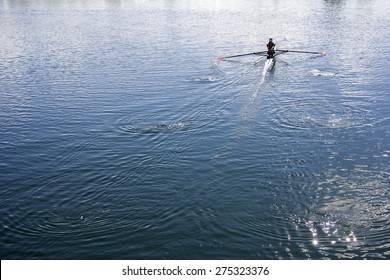 Women Rower In A Boat, Rowing On The Tranquil Lake