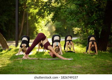 Women Sits In Yoga Pose On Grass, Group Training