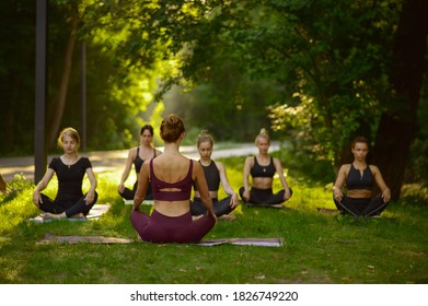 Women Sits In Yoga Pose On Grass, Group Training