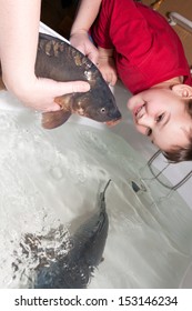 Women With Son Touching Christmas Carp