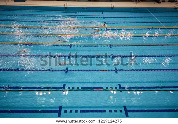 Women swim on lanes in\
swimming pool.