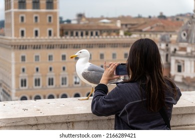 Women Taking Photo Of Albatross Bird In Middle Of Rome