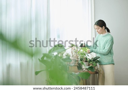 Similar – Woman makes wild flower pile at home