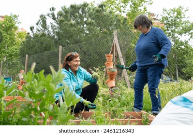 Women in their 60s working in an organic community garden. Sustainable future. Healthy life style - Powered by Shutterstock