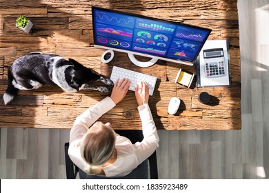 Women Using KPI Analytics Technology For Marketing On Computer With Pet Dog