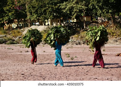 Women In The Work On River Ganges, India.