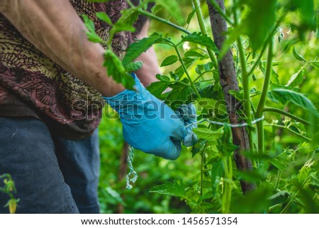 Similar – berry picking Food Fruit