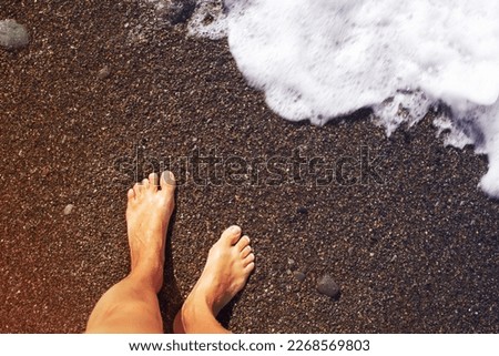 Women's bare feet on a sandy beach near the sea on a sunny day. Vacation background