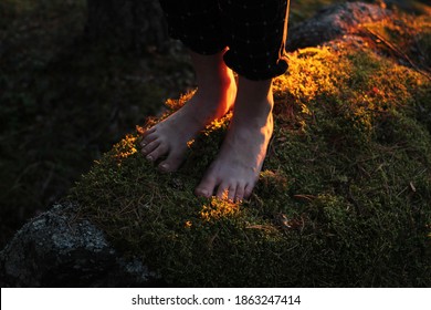 Women's Bare Feet Stand On A Stone Covered With Moss. Sunny Forest. Eco-friendly Lifestyle, Being In Touch With Nature