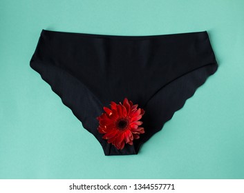 Women's Black Panties With A Red Flower As A Symbol Of Blood. Menstruation, Women's Health, Virginity, First Sex. Conceptual Minimal Still Life