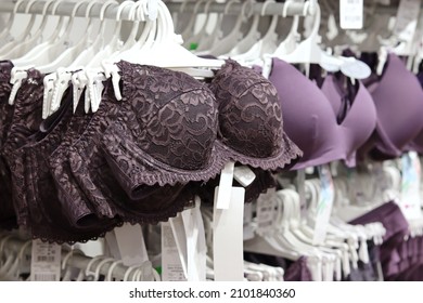 Women's bras in the store, women's underwear on hangers, purple bras