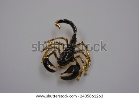 Women's costume jewelry, expensive beautiful jewelry, stylish brooch in the form of a black and gold scorpion, zodiac sign scorpion located on a white plastic background.