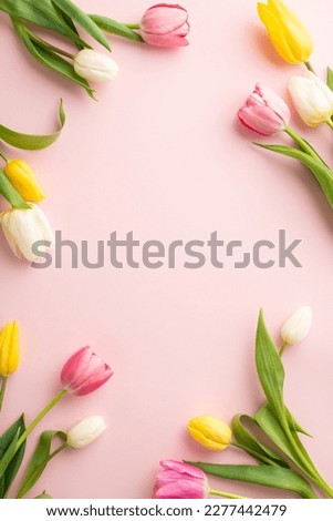 Women's Day celebration concept. Top view vertical photo of fresh colorful tulips on isolated pastel pink background with blank space in the middle