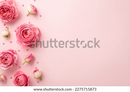 Women's Day concept. Top view photo of pink peony rose buds and sprinkles on isolated pastel pink background with copyspace
